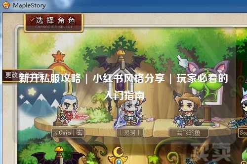 新开私服攻略 | 小红书风格分享 | 玩家必看的入门指南